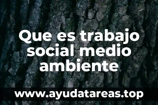 Que es el ambiente de trabajo atractivo 4 Que es trabajo social medio ambiente