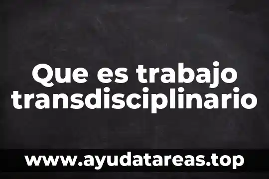 Que es trabajo transdisciplinario