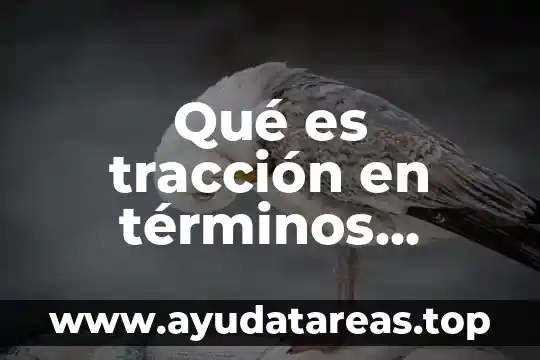 Número de términos que es 3 Qué es tracción en términos plásticos