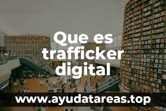 Qué es un convertidor de señal digital 6 Que es trafficker digital