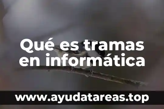 Que es un seguridad informatica 3 Qué es tramas en informática