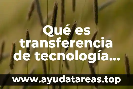 Qué es la tecnología autoinflar 3 Qué es transferencia de tecnología agropecuaria