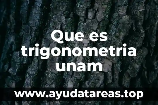 Que es trigonometria unam