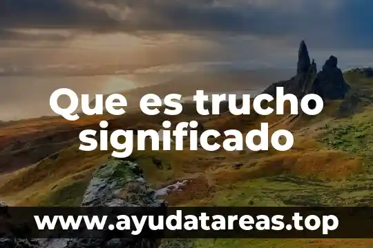 Que es un constructo de conocimiento 8 Que es trucho significado