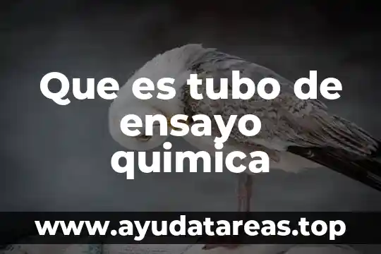 Qué es el alcohol en química definición 8 Que es tubo de ensayo quimica