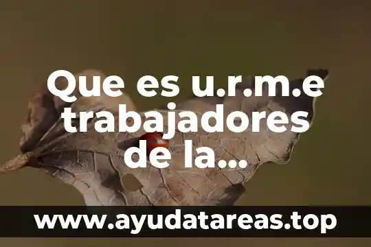 Que es la representación de los trabajadores en la organización 5 Que es u.r.m.e trabajadores de la educacion