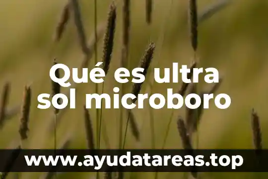 Que es neandertal significado 8 Qué es ultra sol microboro