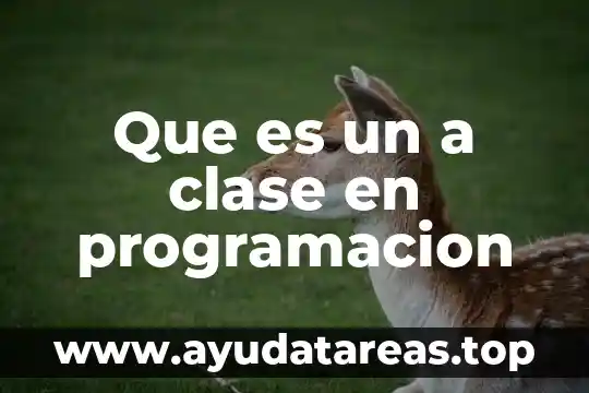 Que es eurocentrismo en filosofía 8 Que es un a clase en programacion