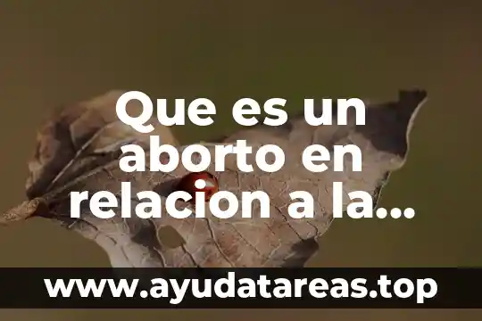 Que es un aborto en relacion a la dscripcion medica