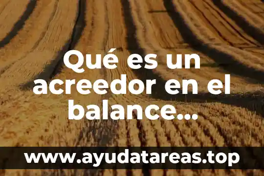 Qué es un acreedor en el balance general