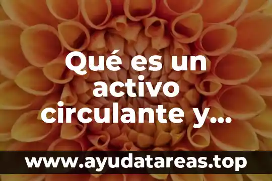 Qué es un activo circulante y qué rubros lo componen