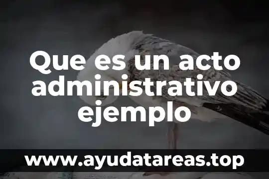 Que es un acto administrativo ejemplo