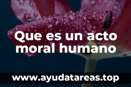 Que es la firma de una persona moral 6 Que es un acto moral humano