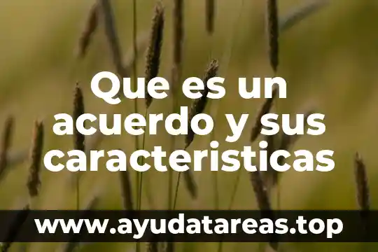 Que es la descripcion sus caracteristicas y sus tipos 5 Que es un acuerdo y sus caracteristicas