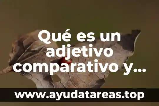 Que es un adjetivo calificativo corta definición 7 Qué es un adjetivo comparativo y superlativo en inglés