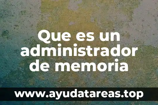 Que es un administrador de memoria