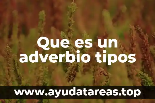 Que es un personaje y sus tipos 8 Que es un adverbio tipos