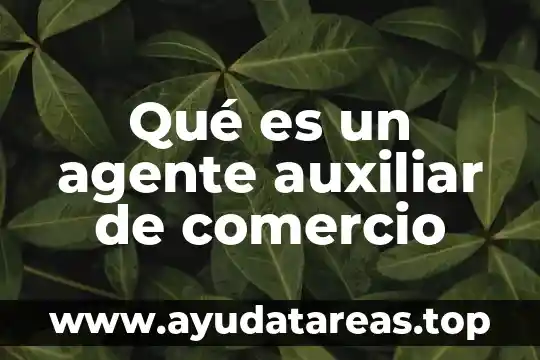 Que es el id de comercio de paypal 3 Qué es un agente auxiliar de comercio