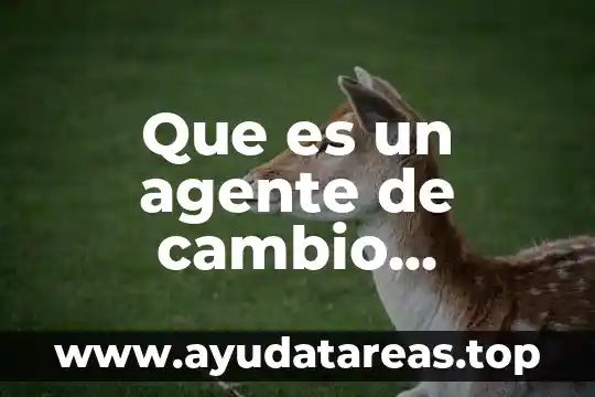 Que es un agente de cambio positivo