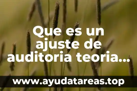 Que es un ajuste de auditoria teoria mexicna