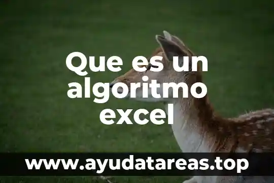 Que es un algoritmo excel