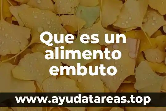 Que es el termo cople de un calentador de agua 4 Que es un alimento embuto