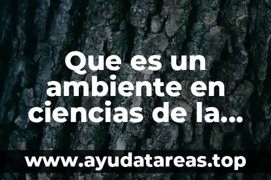 Que es un ambiente en ciencias de la salud