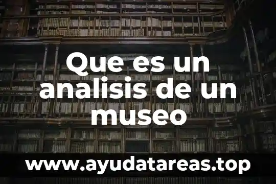 Qué es el capital en un análisis financiero 4 Que es un analisis de un museo