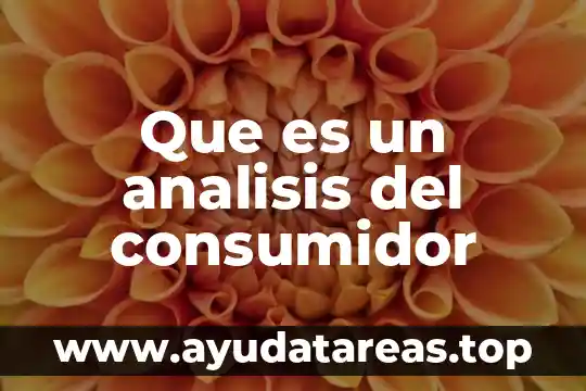 Que es un analisis del consumidor