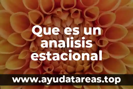 Qué es el capital en un análisis financiero 7 Que es un analisis estacional