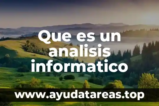 Que es un analisis informatico