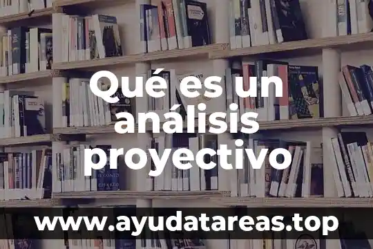 Qué es el capital en un análisis financiero 3 Qué es un análisis proyectivo