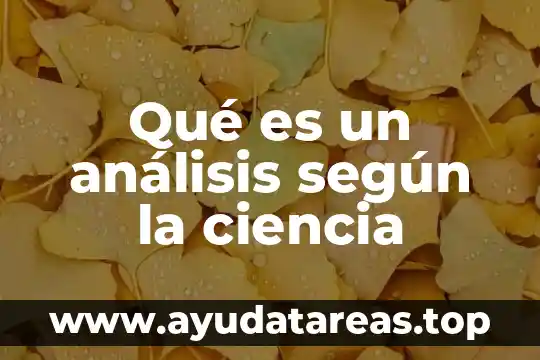 Que es analisis fisico quimico de suelo tesis 6 Qué es un análisis según la ciencia