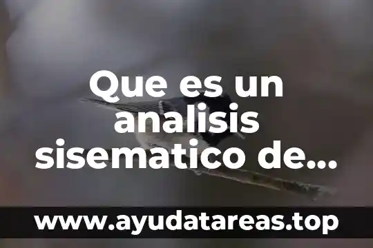 Que es un analisis sisematico de un motor electrico