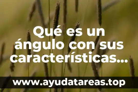 Que es la descripcion sus caracteristicas y sus tipos 8 Qué es un ángulo con sus características y su notación