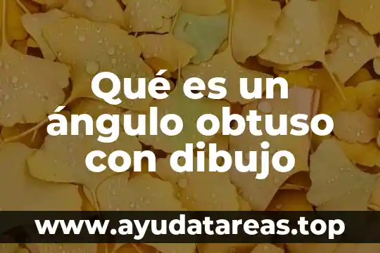 Qué es un ángulo obtuso con dibujo