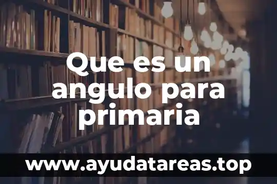 Que es un angulo para primaria