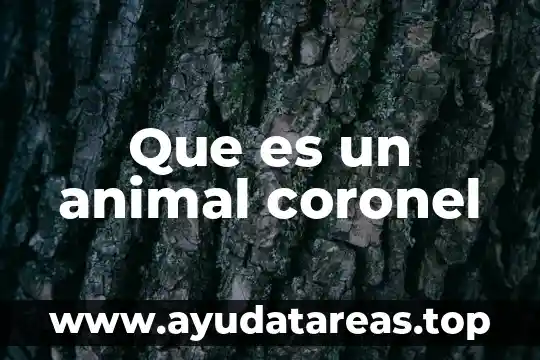 Que es el mundo animal 3 Que es un animal coronel