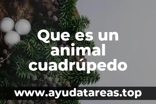 Que es un laboratorio de bromatologia animal 4 Que es un animal cuadrúpedo