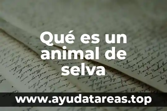 Organización burocrática que es 7 Qué es un animal de selva