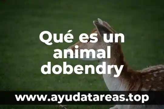 Que es un coati animal 8 Qué es un animal dobendry
