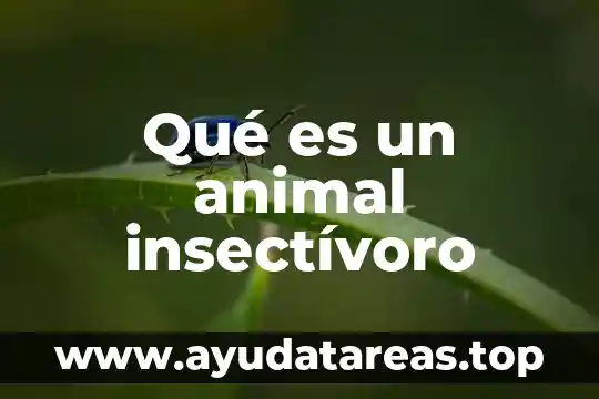 Que es una chiva animal 8 Qué es un animal insectívoro