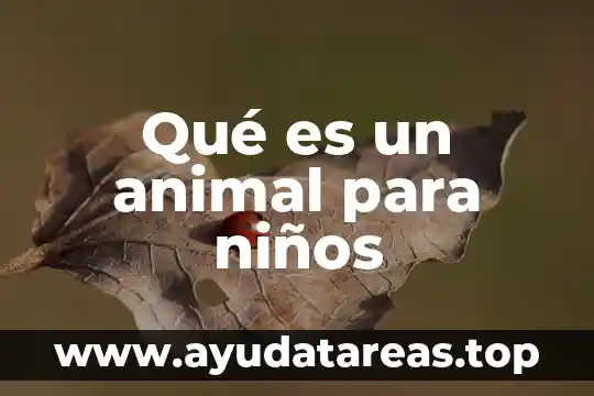 Que es el animal tijerillas 7 Qué es un animal para niños