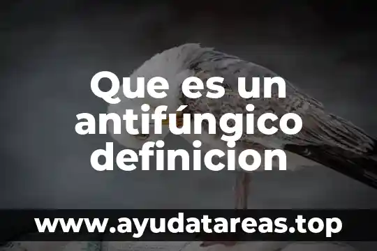 Que es un antifúngico definicion