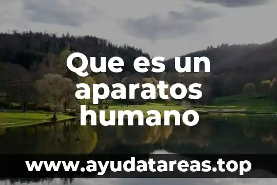 Que es el ser humano eticamente 8 Que es un aparatos humano