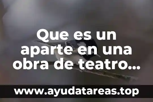 Que es un aparte en una obra de teatro ejemplos