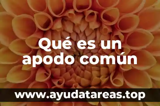 Sentido común 5 Qué es un apodo común