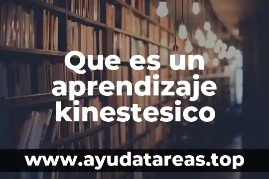 Que es un aprendizaje kinestesico