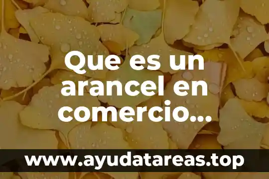 Que es el id de comercio de paypal 6 Que es un arancel en comercio exterior