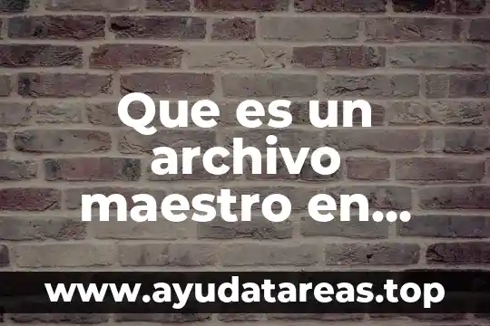 Que es un archivo maestro en contabilidad